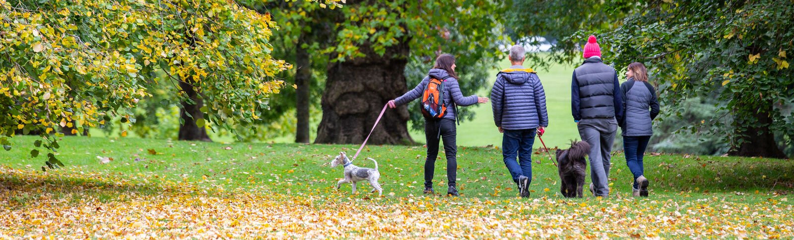 People walking their dogs through a park in autumn